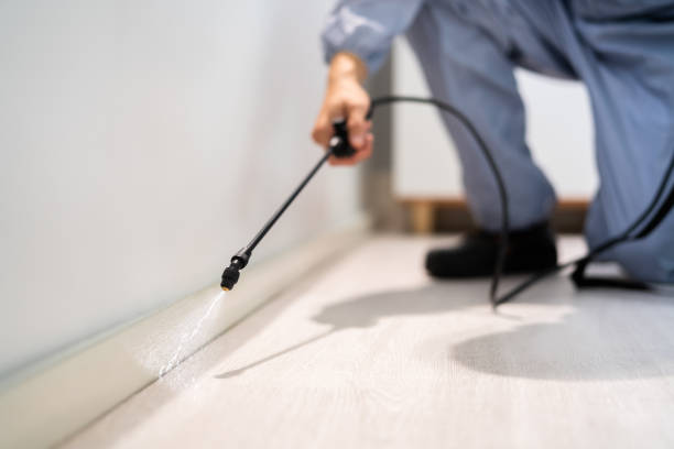 Licensed Pest Control service in Malone, FL - Show Me Pest Control