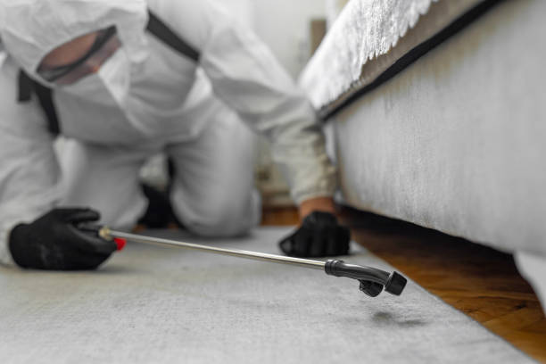 Professional Ant Control technician working in Malone, FL