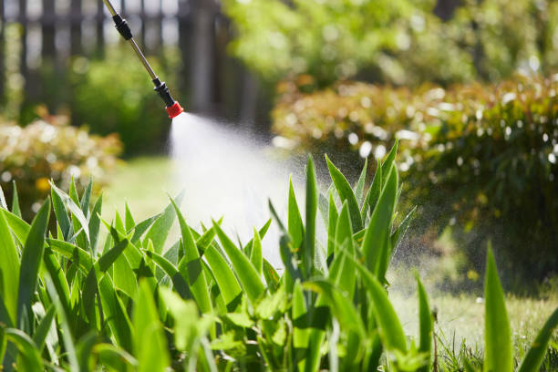24/7 Emergency Ant Control experts in Malone, FL